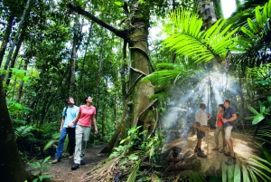 Daintree, Mossman Gorge & Cape Trib Tour with Cruise & Lunch