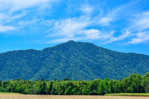 Daintree, Mossman Gorge & Cape Trib Tour with Cruise & Lunch