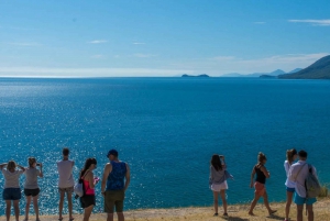 Daintree, Mossman Gorge & Cape Trib Tour with Cruise & Lunch