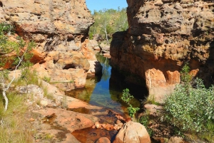 Darwin to Cairns: Kakadu & Gulf Savannah 11 Day Tour