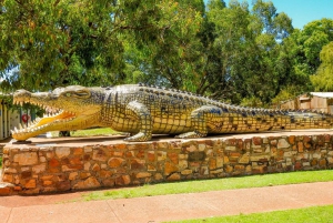 Darwin to Cairns: Kakadu & Gulf Savannah 11 Day Tour