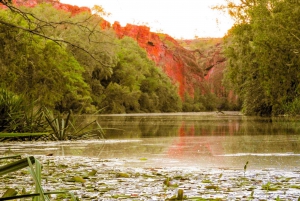 Darwin to Cairns: Kakadu & Gulf Savannah 11 Day Tour