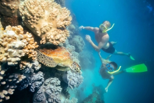 Cairns: Green Island and Seawalker Helmet Dive Combo