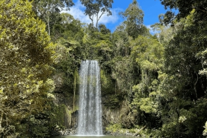 From Cairns: Atherton Tablelands and Paronella Park Day Trip