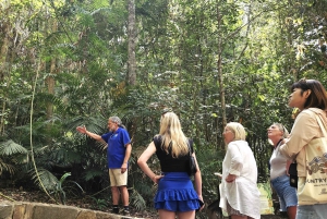 From Cairns: Atherton Tablelands and Paronella Park Day Trip