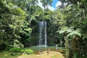 From Cairns: Atherton Tablelands and Paronella Park Day Trip