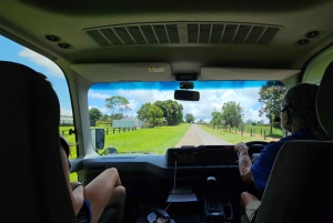 From Cairns: Atherton Tablelands and Paronella Park Day Trip