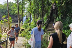 From Cairns: Atherton Tablelands and Paronella Park Day Trip