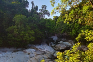 From Cairns: Atherton Tablelands and Paronella Park Day Trip