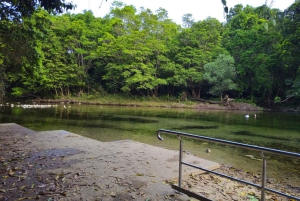 From Cairns: Atherton Tablelands and Paronella Park Day Trip