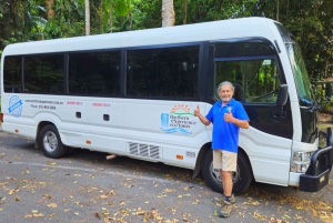 From Cairns: Atherton Tablelands and Paronella Park Day Trip