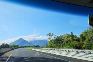 From Cairns: Atherton Tablelands and Paronella Park Day Trip