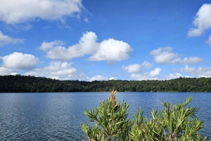 From Cairns: Atherton Tablelands and Paronella Park Day Trip