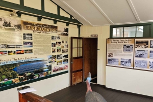 From Cairns: Atherton Tablelands and Paronella Park Day Trip