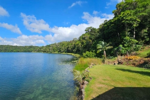 From Cairns: Atherton Tablelands and Paronella Park Day Trip