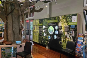 From Cairns: Atherton Tablelands and Paronella Park Day Trip