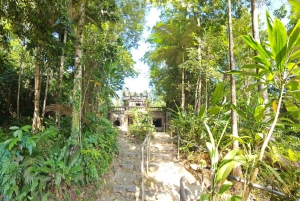 From Cairns: Atherton Tablelands and Paronella Park Day Trip