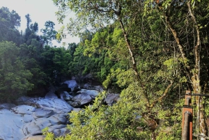 From Cairns: Atherton Tablelands and Paronella Park Day Trip