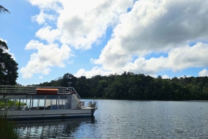 From Cairns: Atherton Tablelands and Paronella Park Day Trip