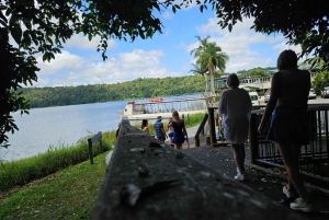 From Cairns: Atherton Tablelands and Paronella Park Day Trip