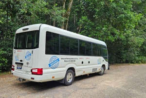 From Cairns: Atherton Tablelands and Paronella Park Day Trip
