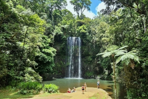 From Cairns: Atherton Tablelands and Paronella Park Day Trip