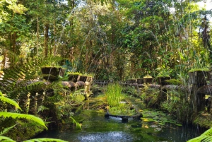 From Cairns: Atherton Tablelands and Paronella Park Day Trip