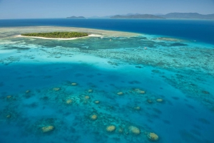 From Cairns: Full-Day Green Island Cruise