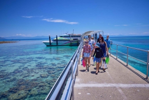 From Cairns: Full-Day Green Island Cruise