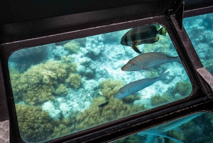 From Cairns: Full-Day Green Island Cruise