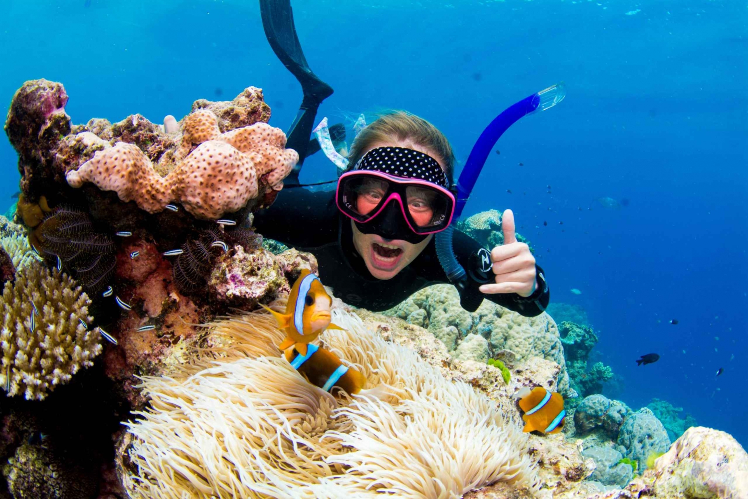 Cairns: Dagstur med snorkling og dykning ved Great Barrier Reef