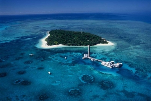Cairns: Green Island Snorkelling or Glass Bottom Boat