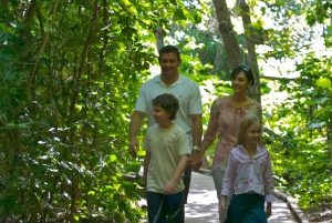 Cairns: Green Island Snorkelling or Glass Bottom Boat