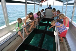 Cairns: Green Island Snorkelling or Glass Bottom Boat