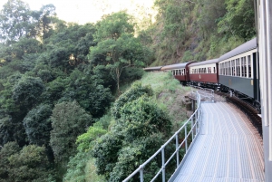 From Port Douglas: Kuranda via Scenic Rail or Skyrail Option