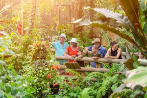 From Port Douglas: Kuranda via Scenic Rail or Skyrail Option