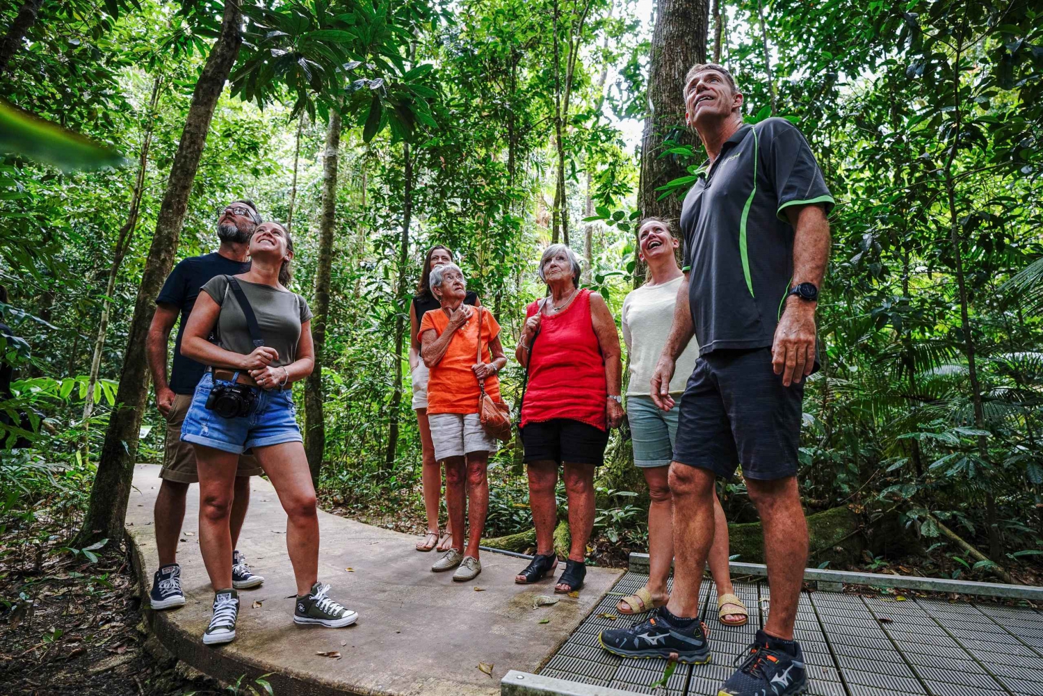 Port Douglas: Best of Daintree Rainforest Day Tour