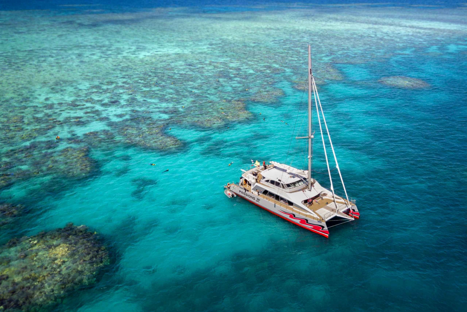 From Cairns: Great Barrier Reef Cruise by Premium Catamaran