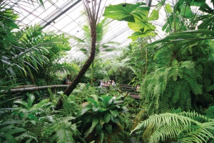 Kuranda, Cairns & Port Douglas Multi-Park Package