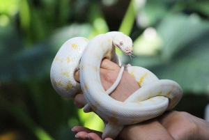 Kuranda, Cairns & Port Douglas Multi-Park Package