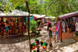 From Port Douglas: Kuranda via Scenic Rail or Skyrail Option