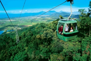 From Port Douglas: Kuranda via Scenic Rail or Skyrail Option