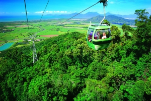 Port Douglas: World Heritage Forest by Skyrail & Scenic Rail