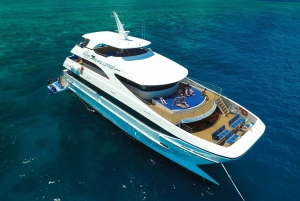 From Cairns: 3-Day Reef, Rainforest, and Outback Package