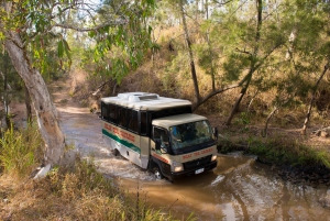 From Cairns: 3-Day Reef, Rainforest, and Outback Package