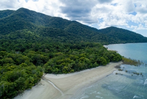 From Cairns: 3-Day Reef, Rainforest, and Outback Package