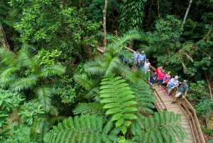 From Cairns: 3-Day Reef, Rainforest, and Outback Package