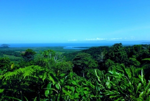 Tablelands Sights & Daintree Rainforest (2 Day Tours)