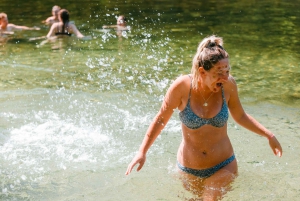 Waterfall, Wildlife and Rainforest Tour from Cairns