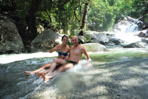 Waterfall, Wildlife and Rainforest Tour from Cairns